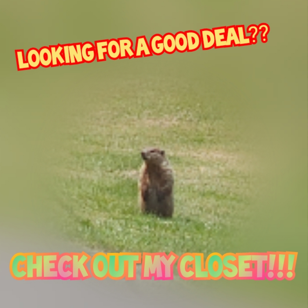 Good deals await!